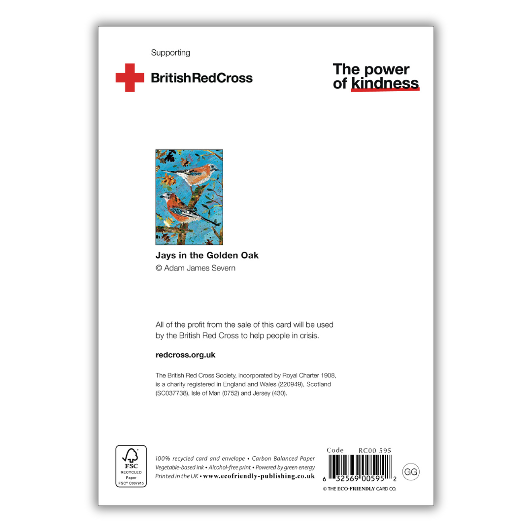 Set of 4 illustrated greeting cards | Adam James Severn