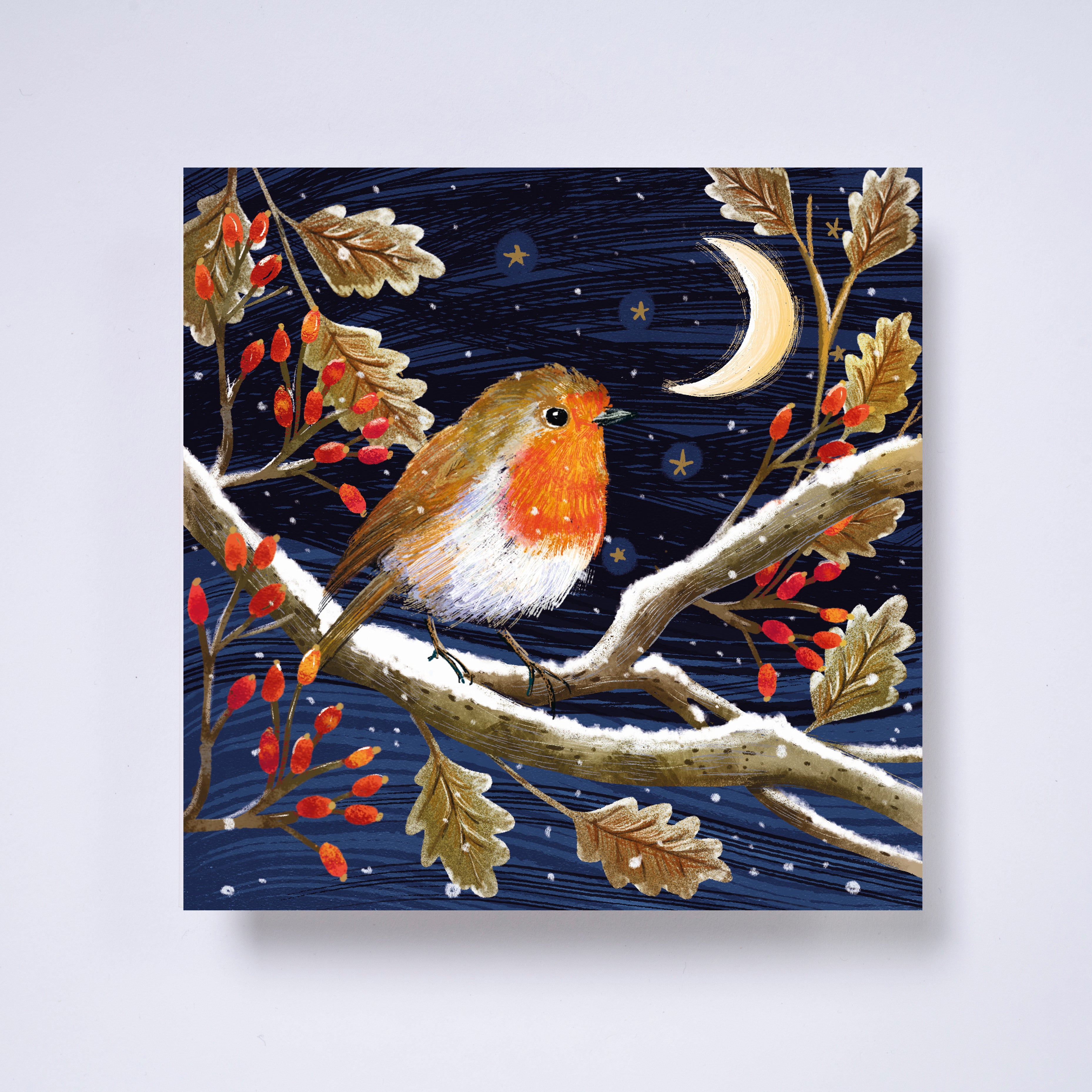 Moonlit robin Welsh/English bilingual - pack of 10 charity Christmas cards with envelopes