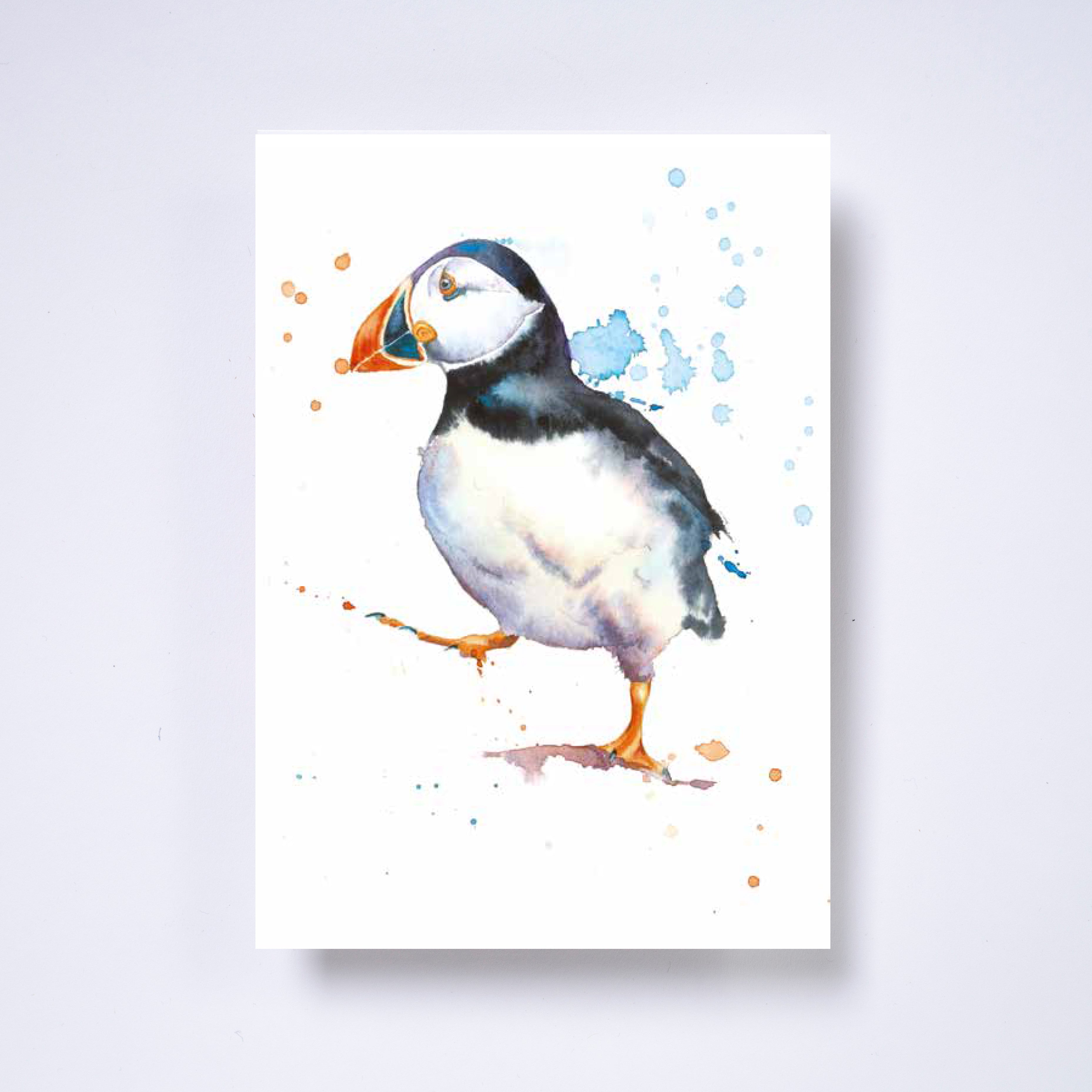 Set of six greeting cards by Rachel Toll