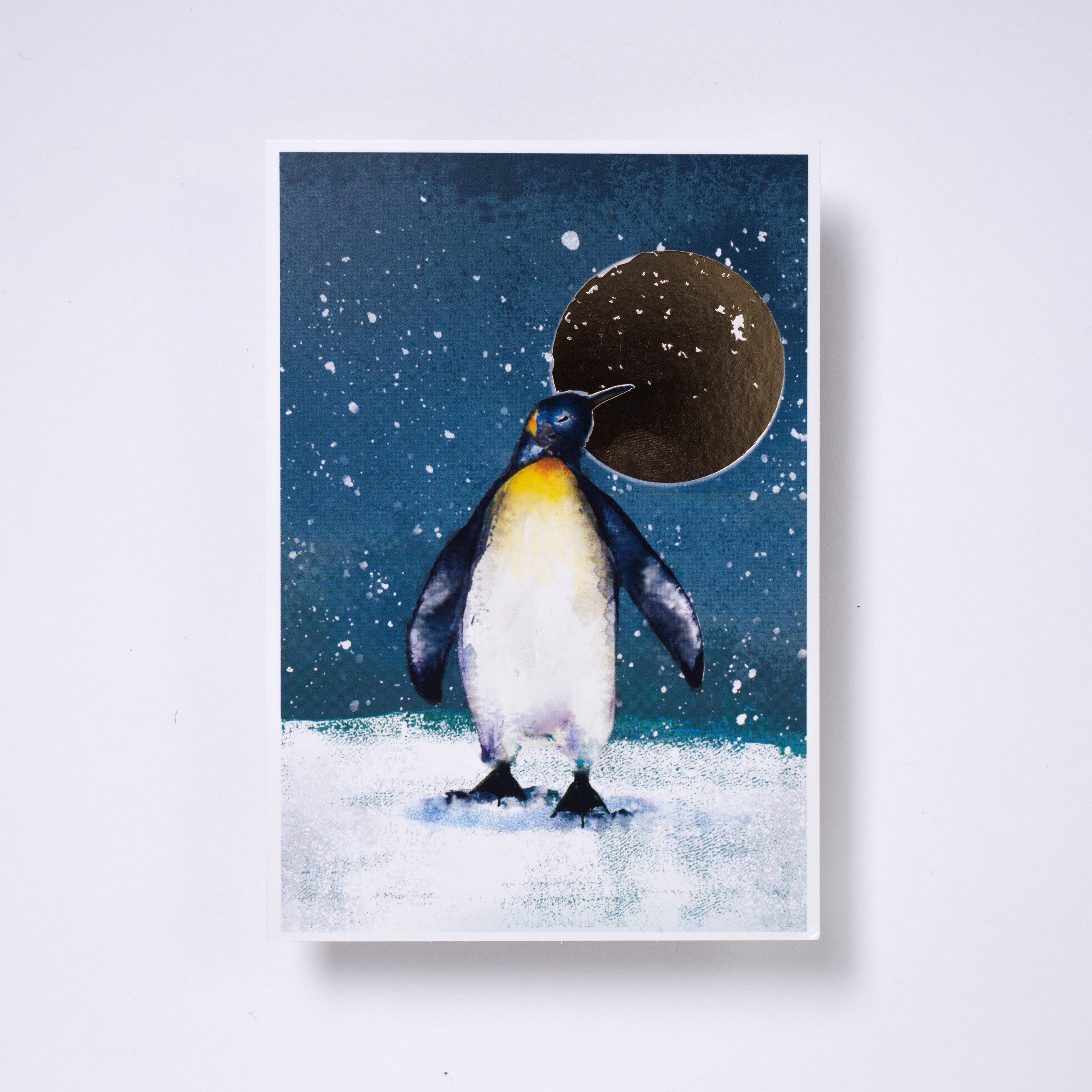 Moonlit penguin - Welsh/English bilingual pack of 10 charity Christmas cards with envelopes