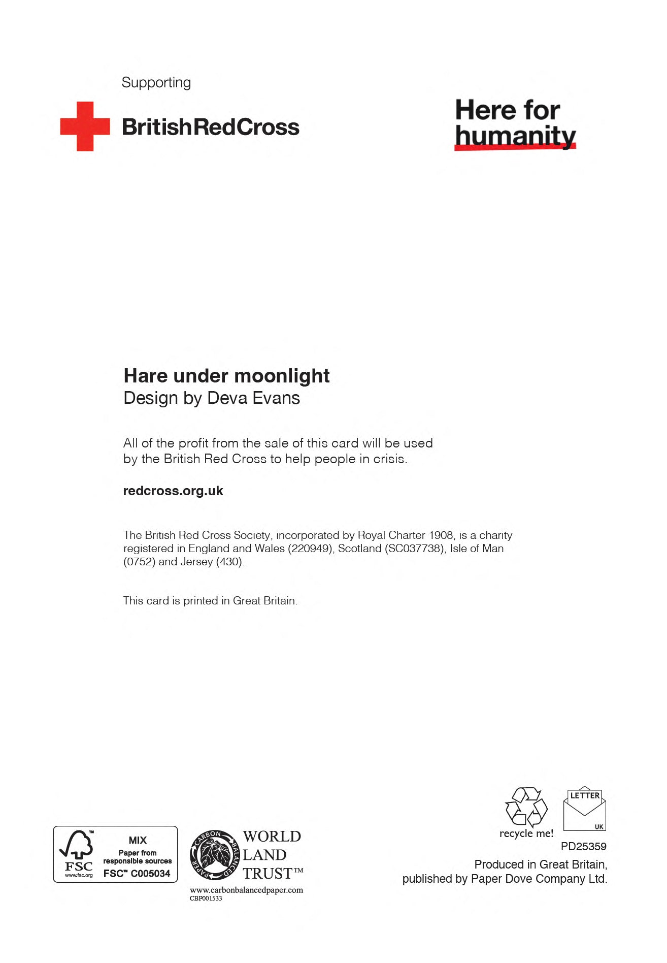 Hare Under Moonlight | Pack of 10 charity Christmas cards with envelopes
