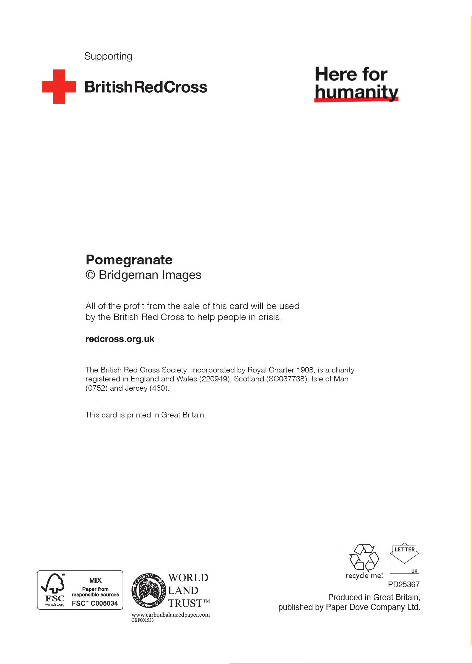 Pomegranate | Pack of 10 charity Christmas cards with envelopes