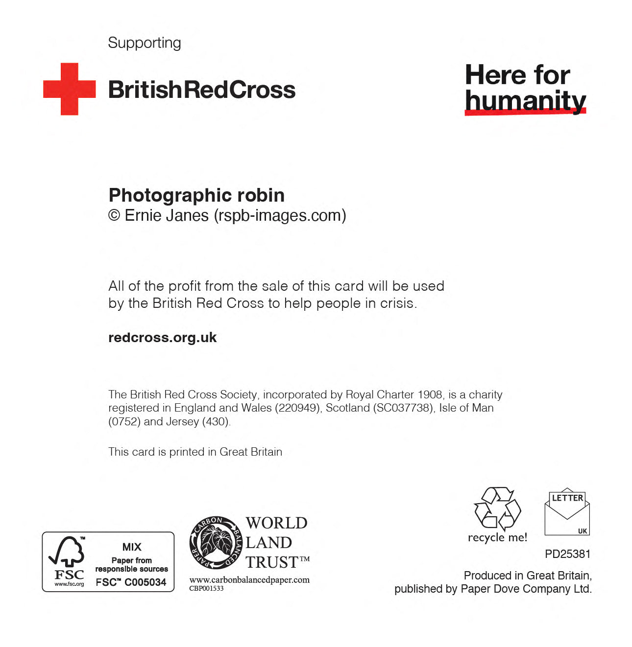 Photographic Robin | Pack of 10 charity Christmas cards with envelopes