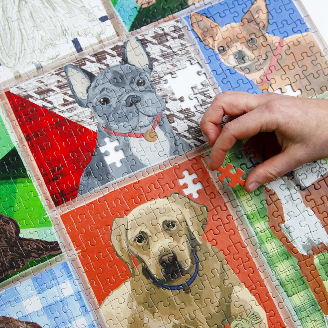 Dog Puzzle 1000 piece