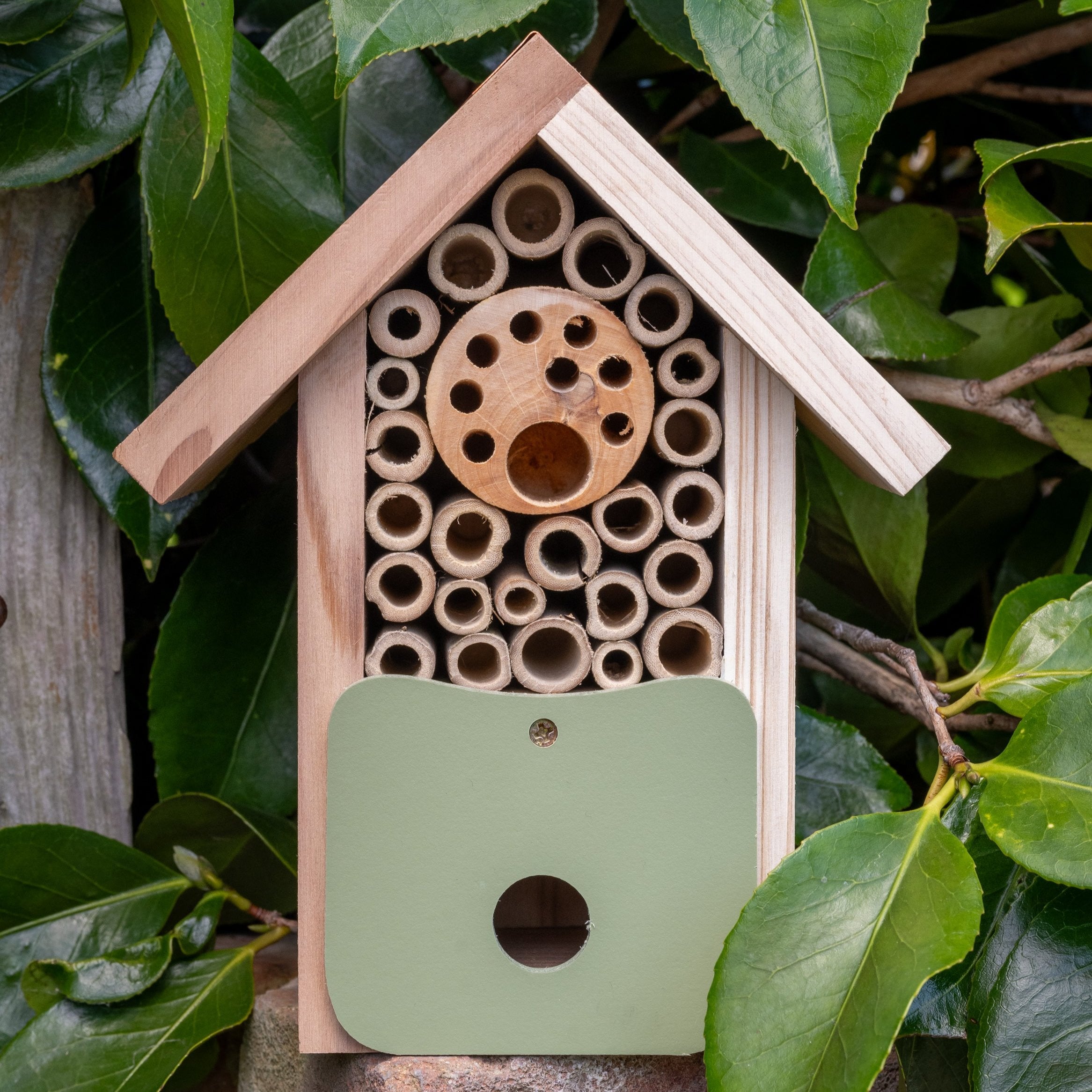 Front image of Artisan Bee Barn within green leaves