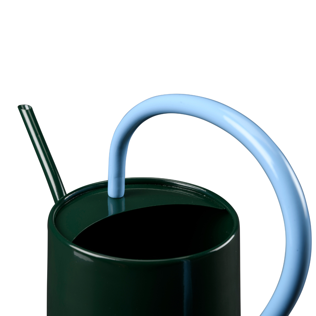 Heritage Green | Scalloped Indoor Watering Can