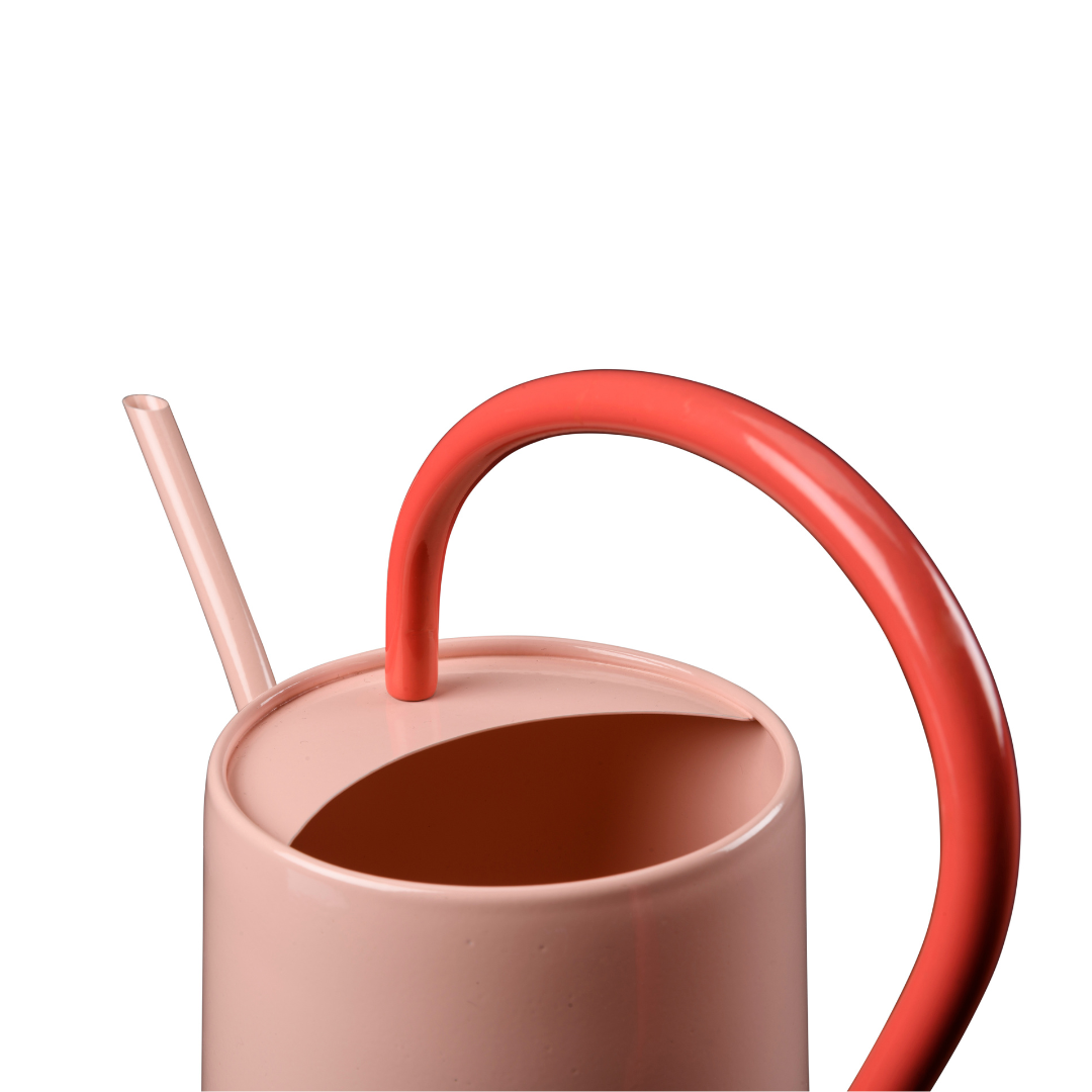 Pink Blush | Scalloped Indoor Watering Can