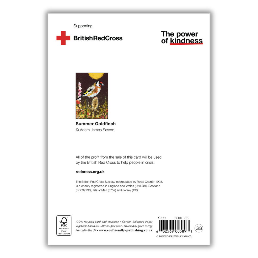 Set of 4 illustrated greeting cards | Adam James Severn