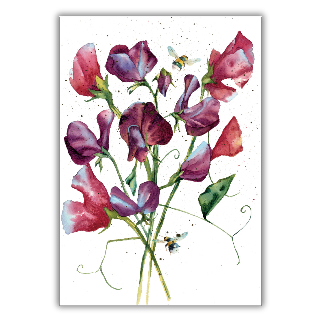 Set of 4 illustrated greeting cards | Rachel Toll