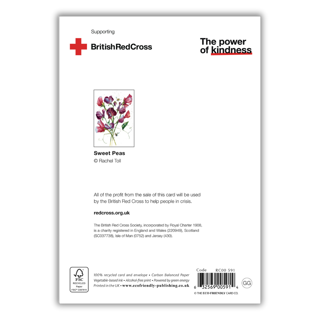 Set of 4 illustrated greeting cards | Rachel Toll