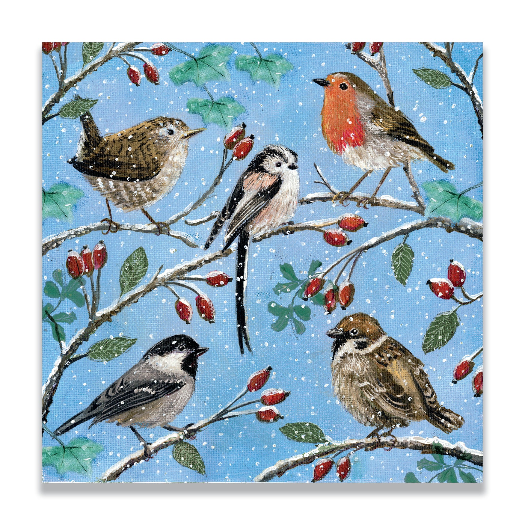 Birds and Branches | Bilingual Pack of 10 charity Christmas cards with envelopes