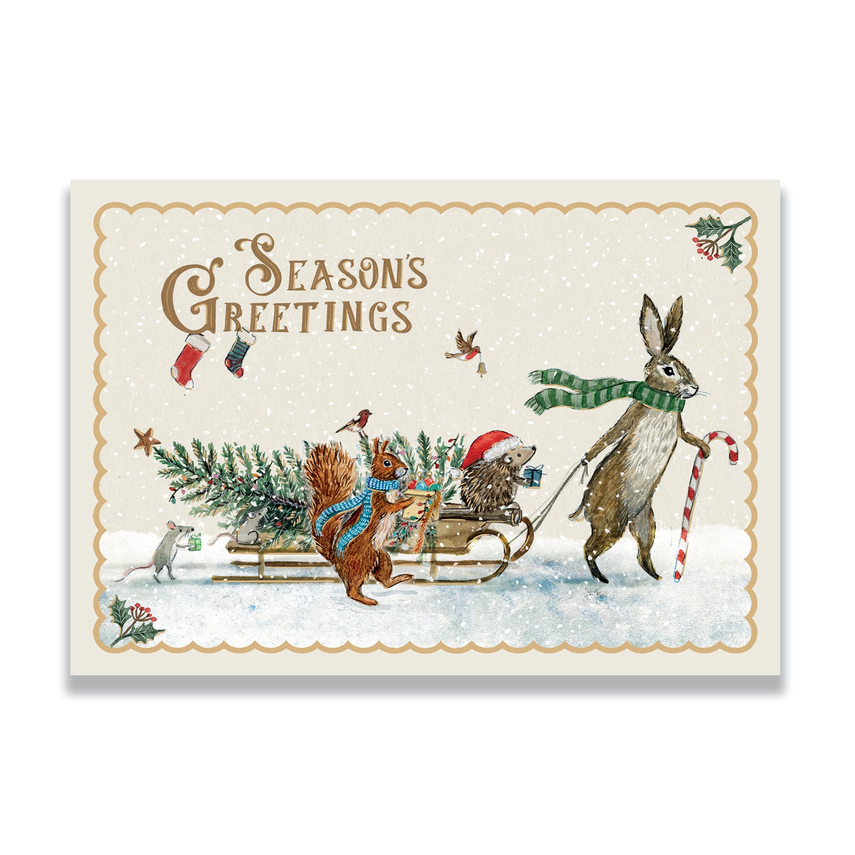 Hare and Friends | Pack of 10 charity Christmas cards with envelopes