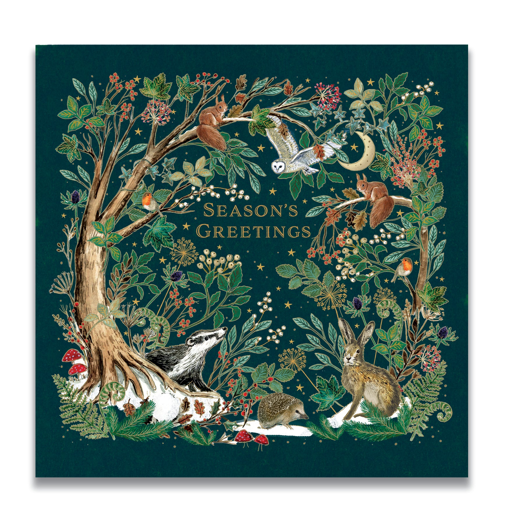 Woodland Wonders | Pack of 10 charity Christmas cards with envelopes