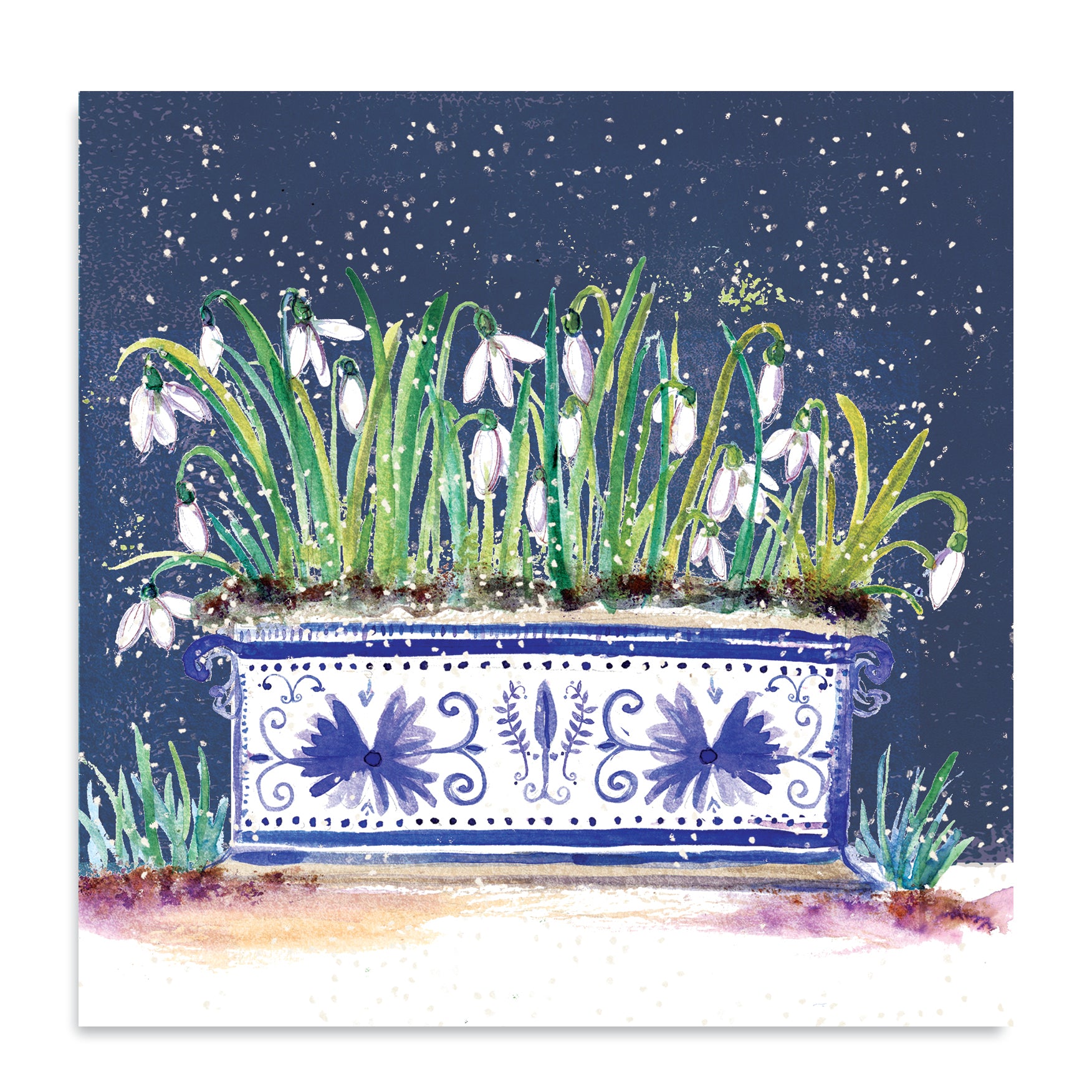 Snowdrop Planter | Pack of 10 charity Christmas cards with envelopes