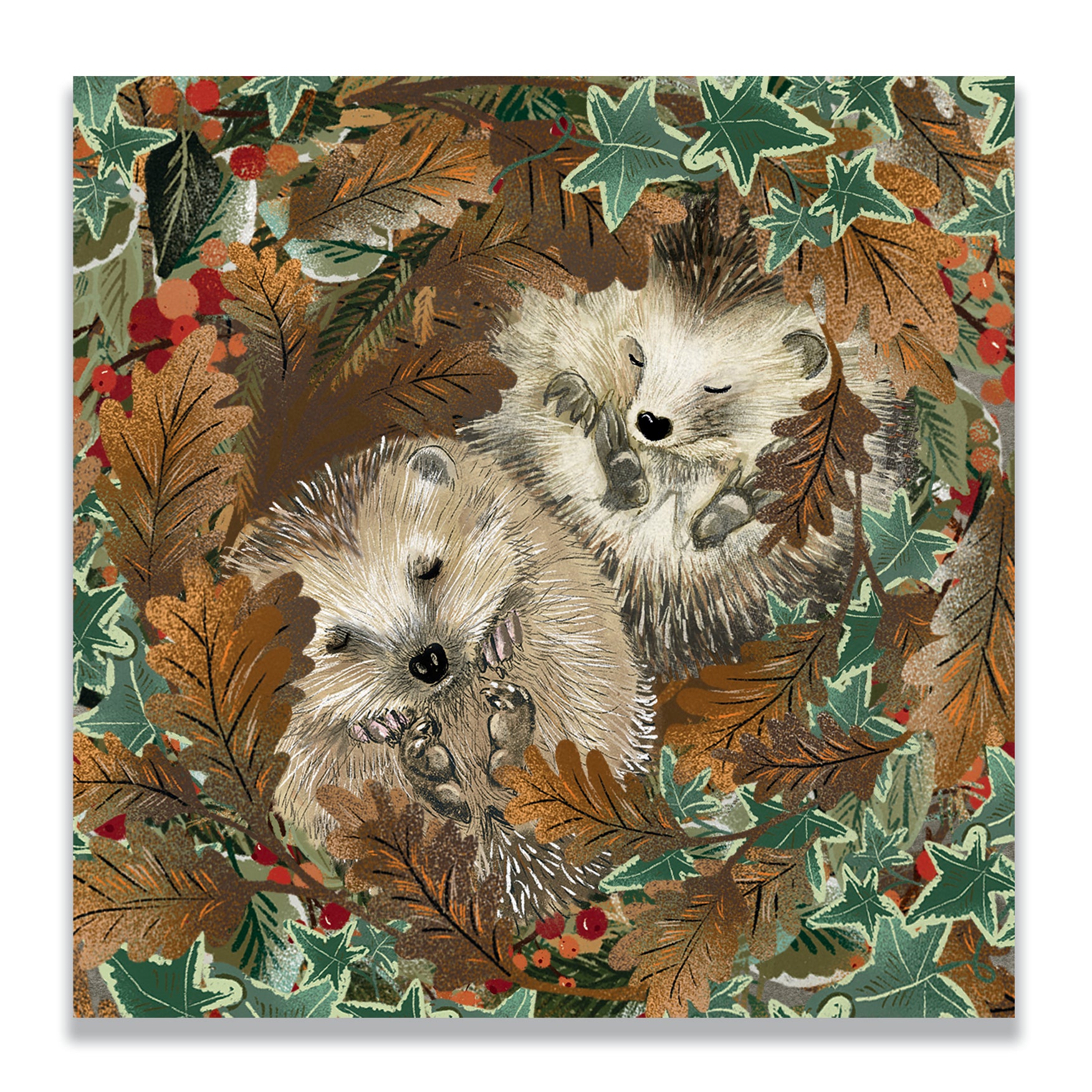 Sleeping Hedgehogs | Pack of 10 charity Christmas cards with envelopes
