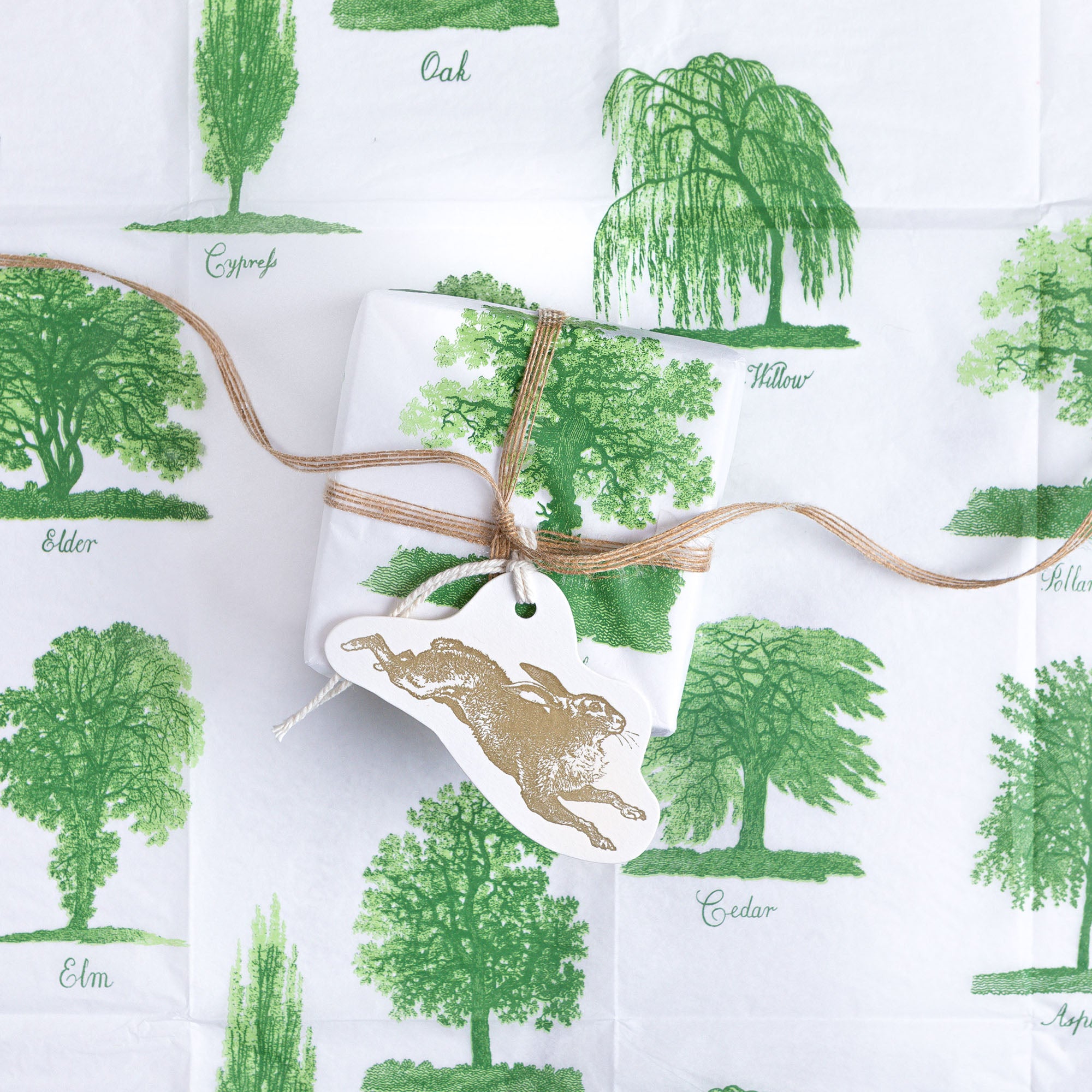 Trees- Tissue Paper- Archivist