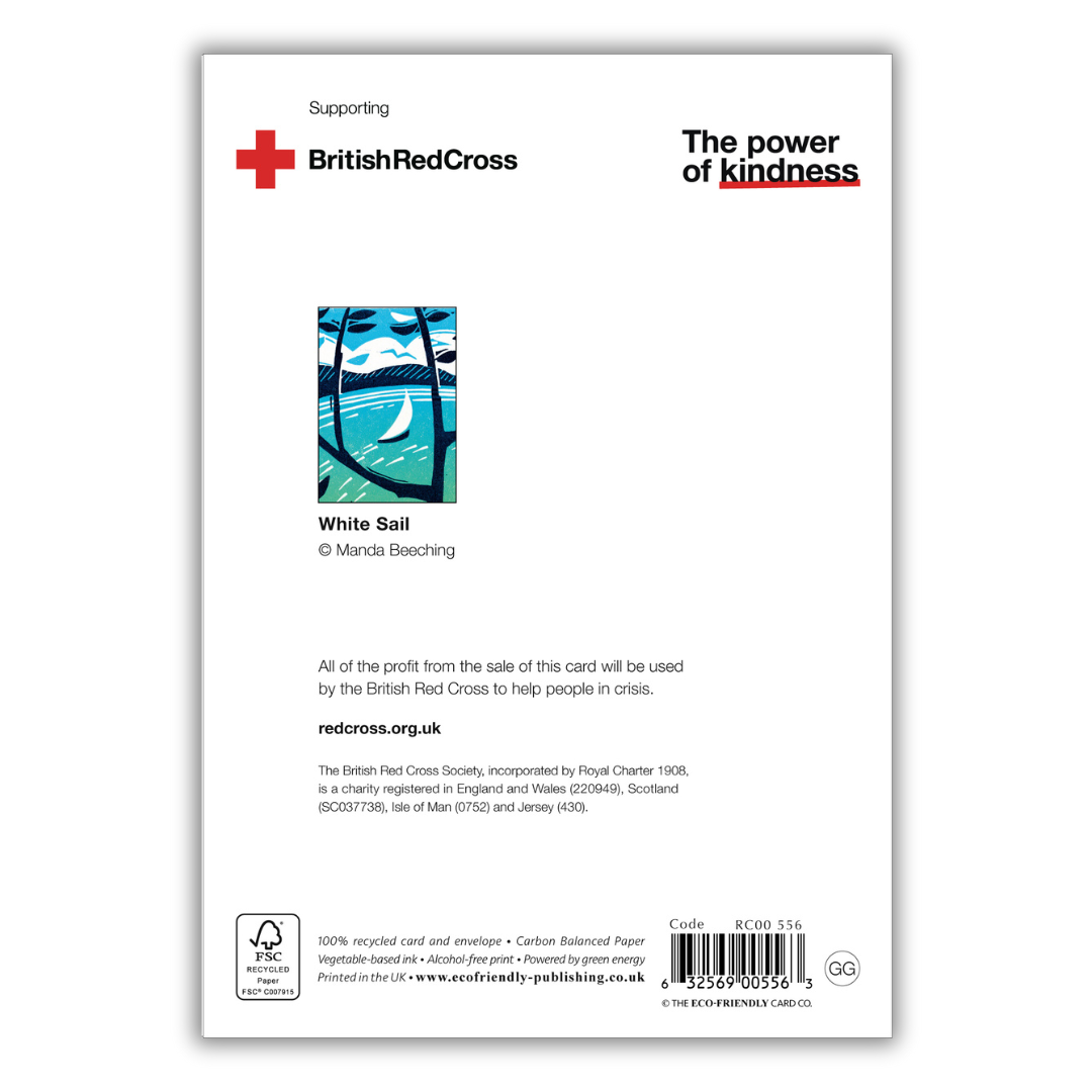 Set of 4 illustrated greeting cards | Manda Beeching