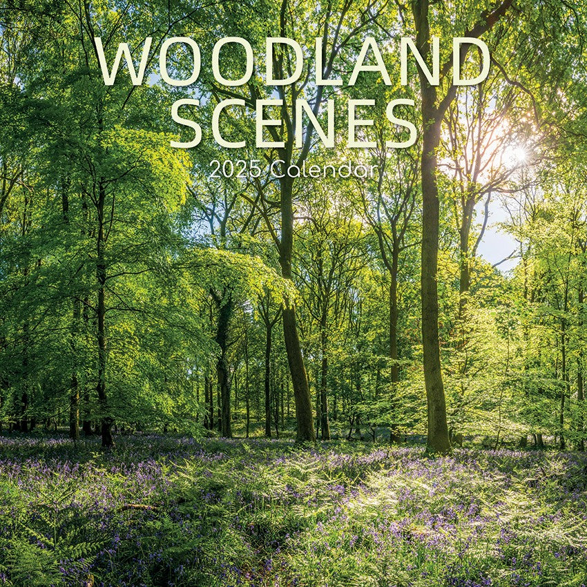 Front image of Woodland scenes 2025 square wall calendar showing  woodland trees