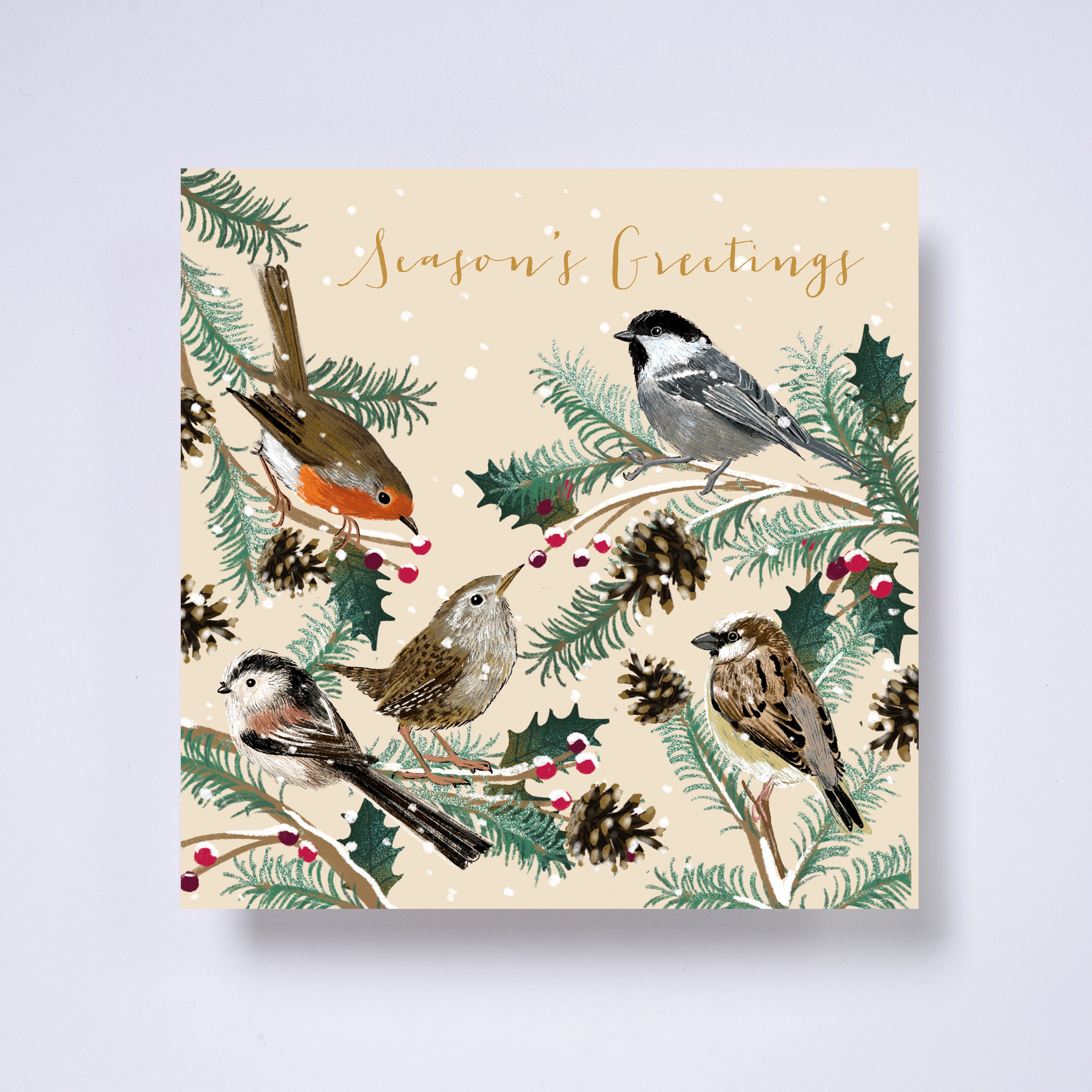 Feathered friends - pack of 10 charity Christmas cards with envelopes