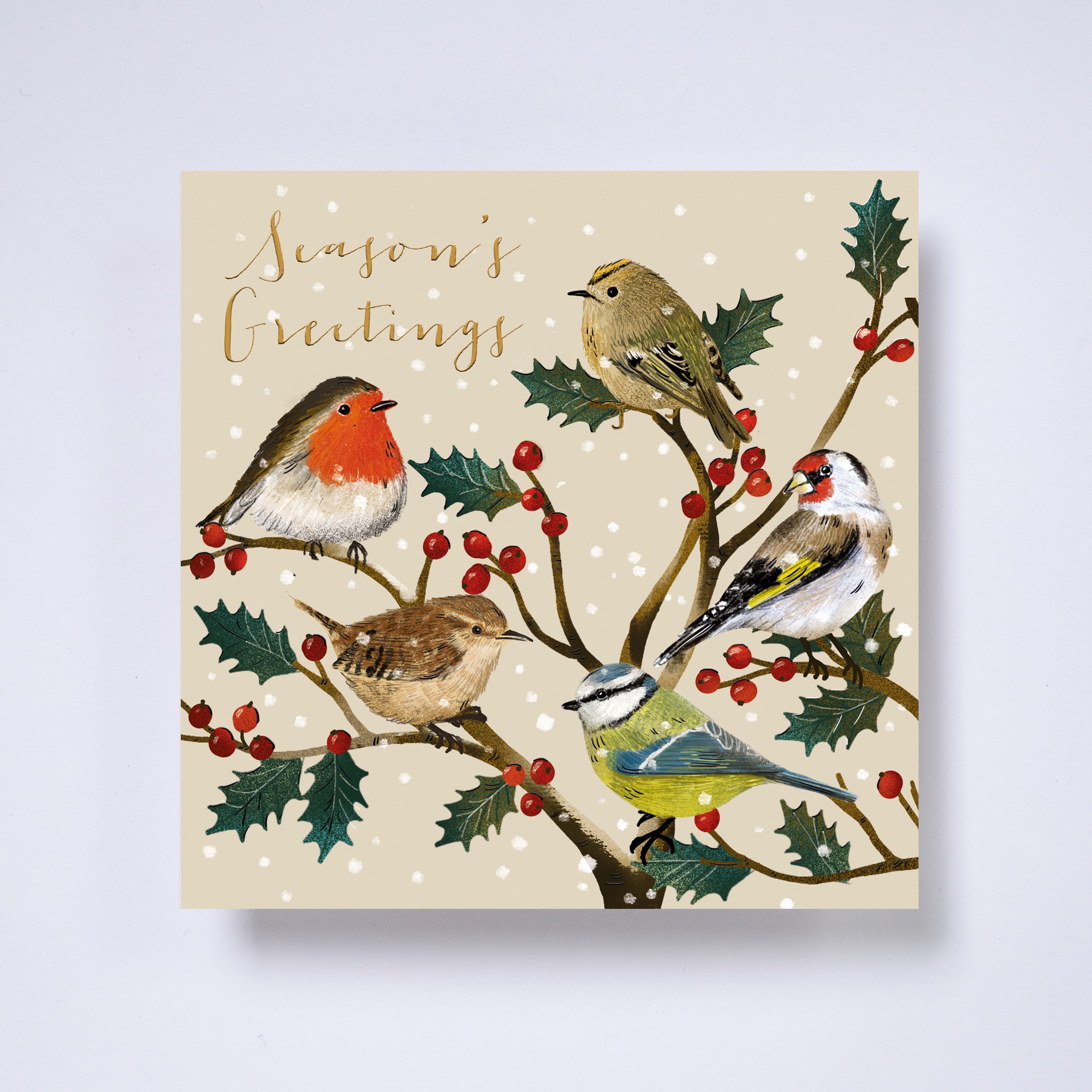 Birds in branches - pack of 10 charity Christmas cards with envelopes