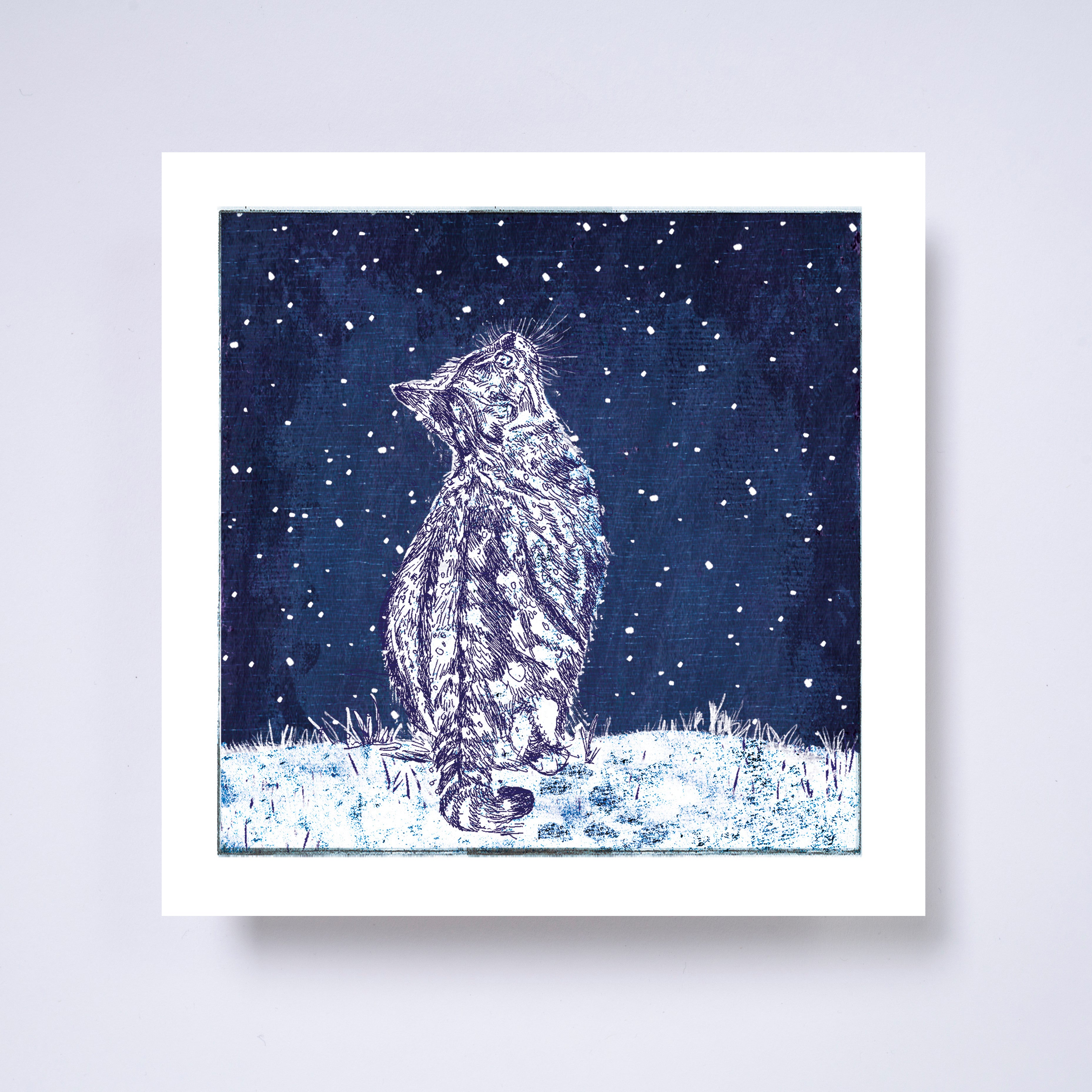 Cat - pack of 10 charity Christmas cards with envelopes