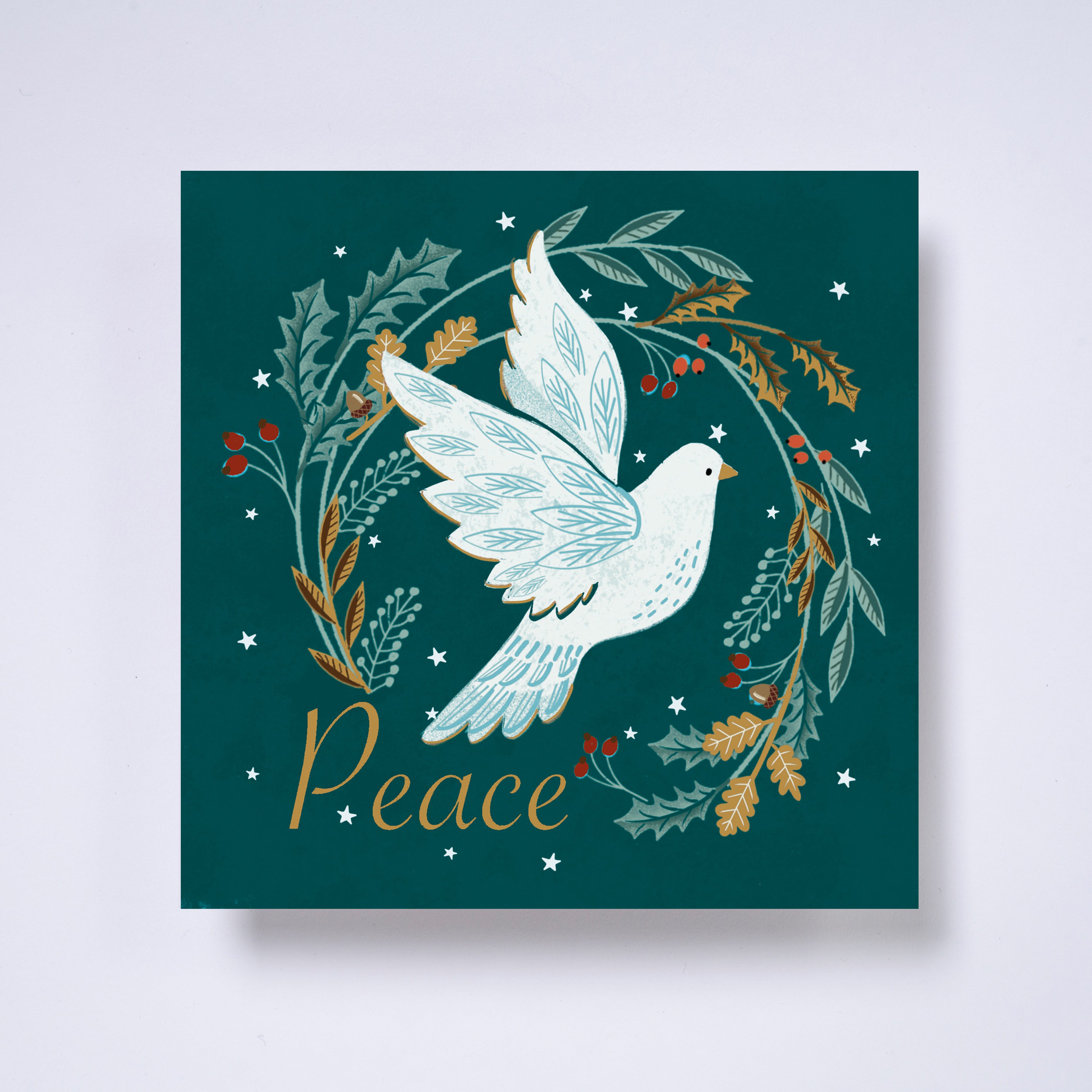 Dove - pack of 10 charity Christmas cards with envelopes