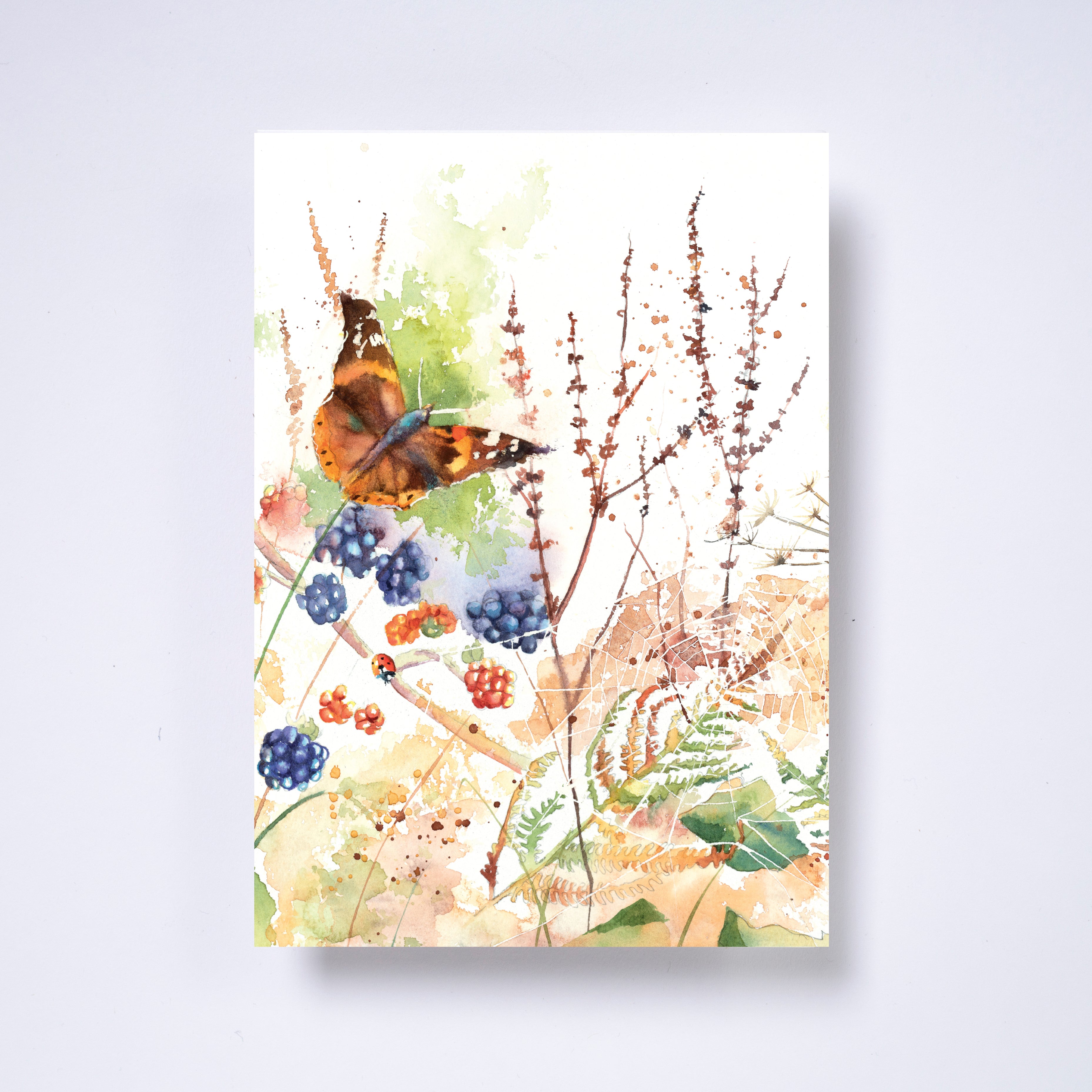 Set of six greeting cards by Rachel Toll