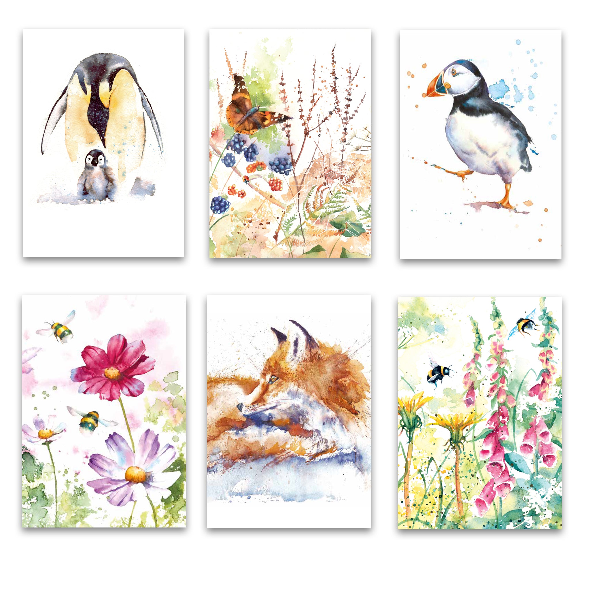 Set of six greeting cards by Rachel Toll