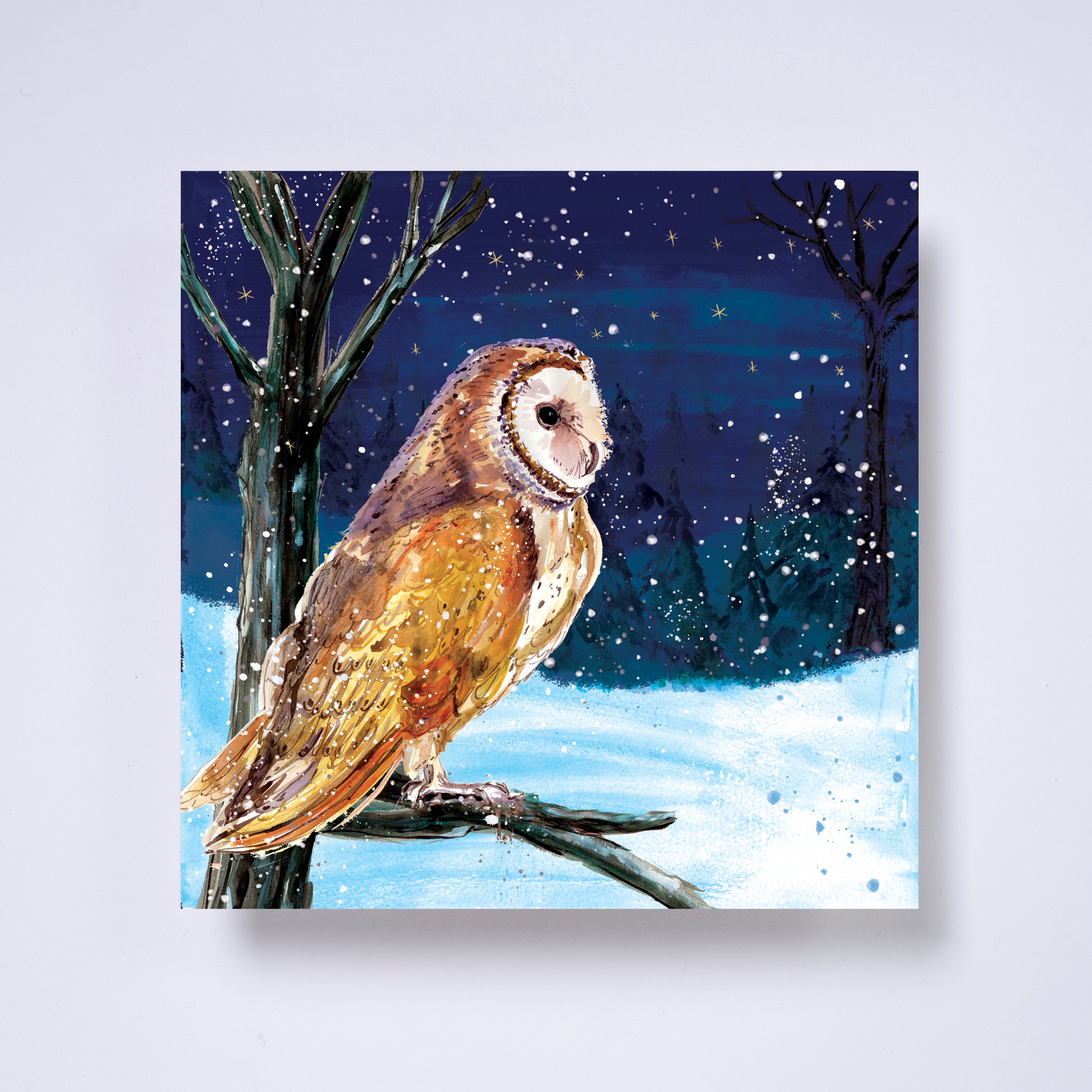 Owl - pack of 10 charity Christmas cards with envelopes