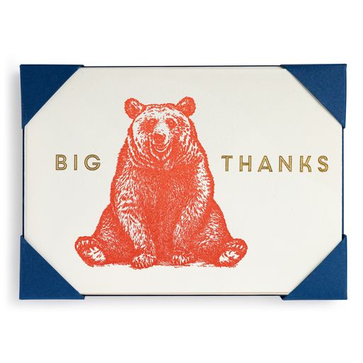 Big Thanks Bear- 5 pack Letterpress Thank You Cards-  Archivist