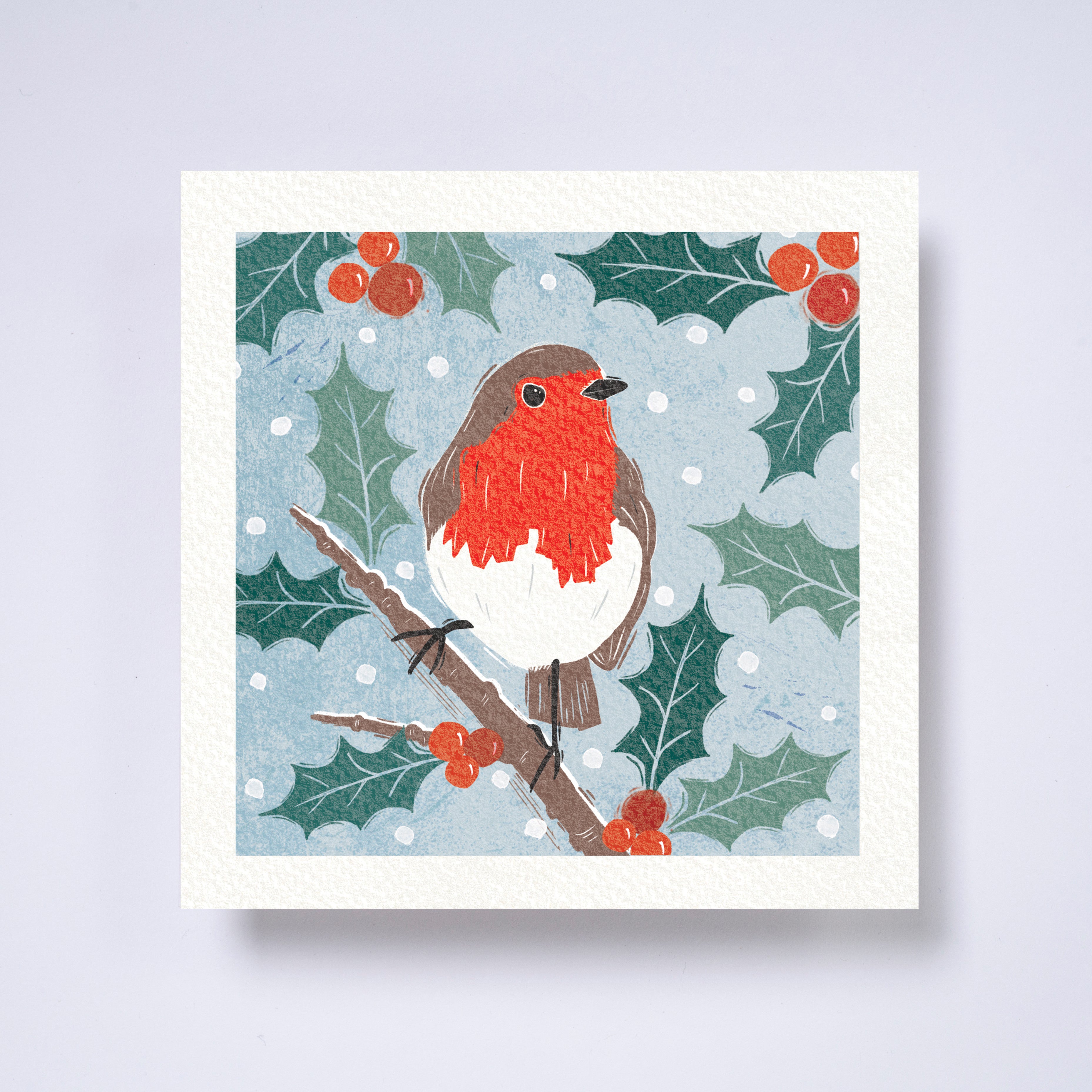 Robin redbreast - pack of 10 charity Christmas cards with envelopes