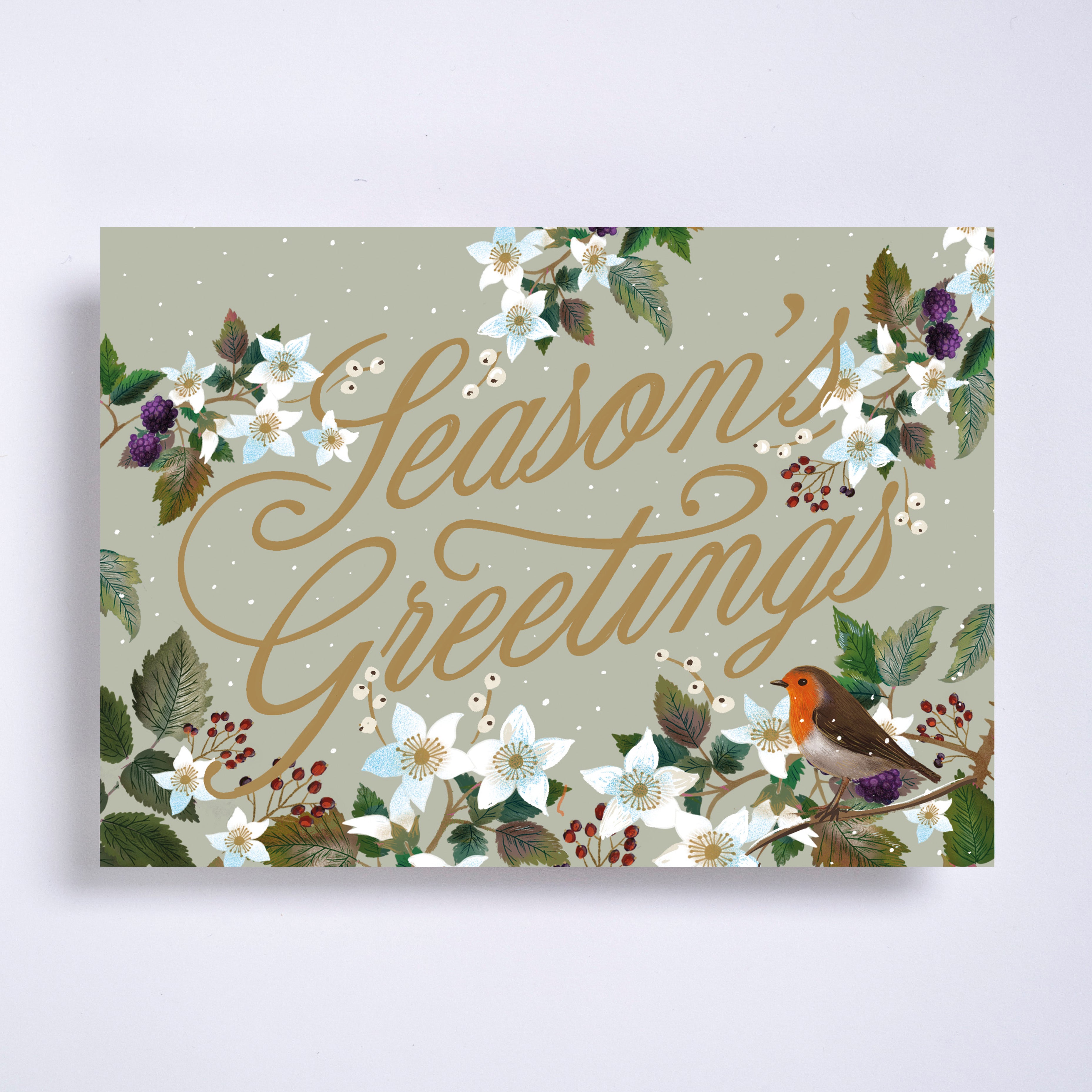 Robin greetings - pack of 10 charity Christmas cards with envelopes