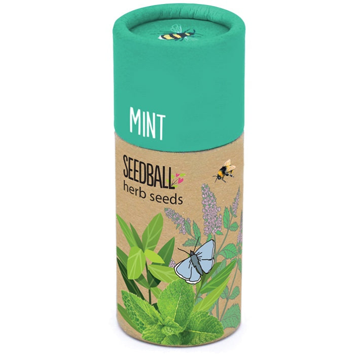 Seedball Tubes - Mint