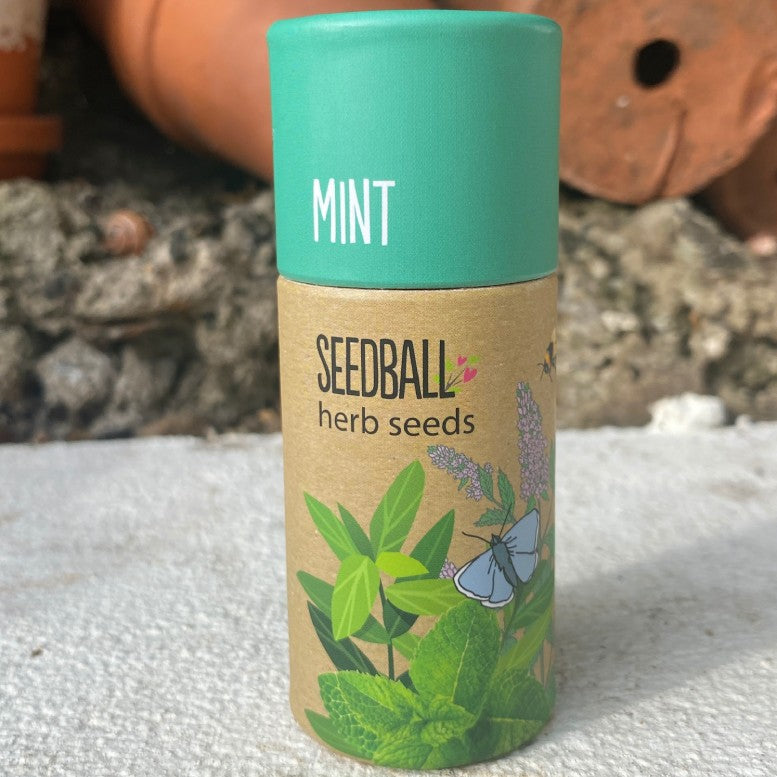 Seedball Tubes - Mint