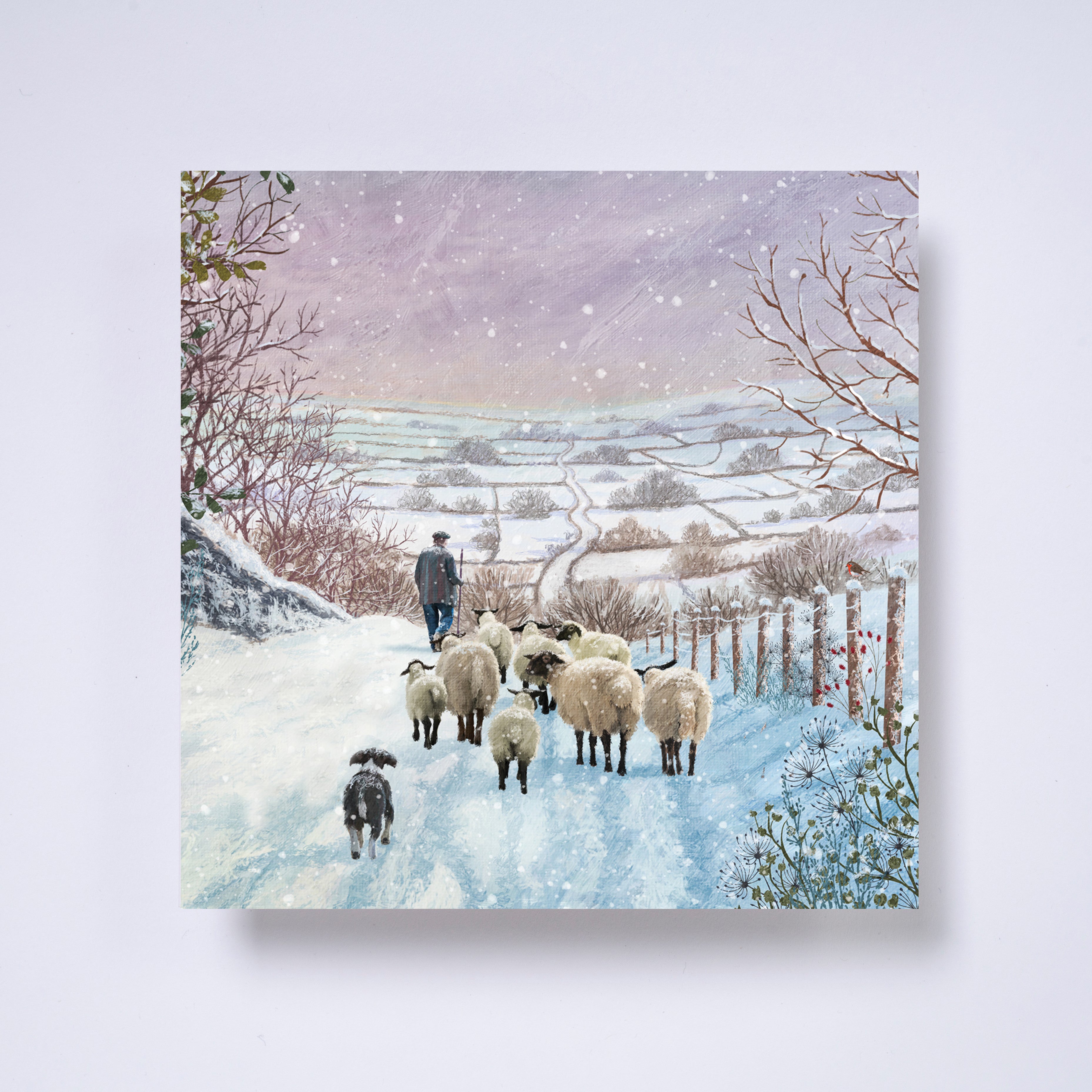 Shepherd - pack of 10 charity Christmas cards with envelopes