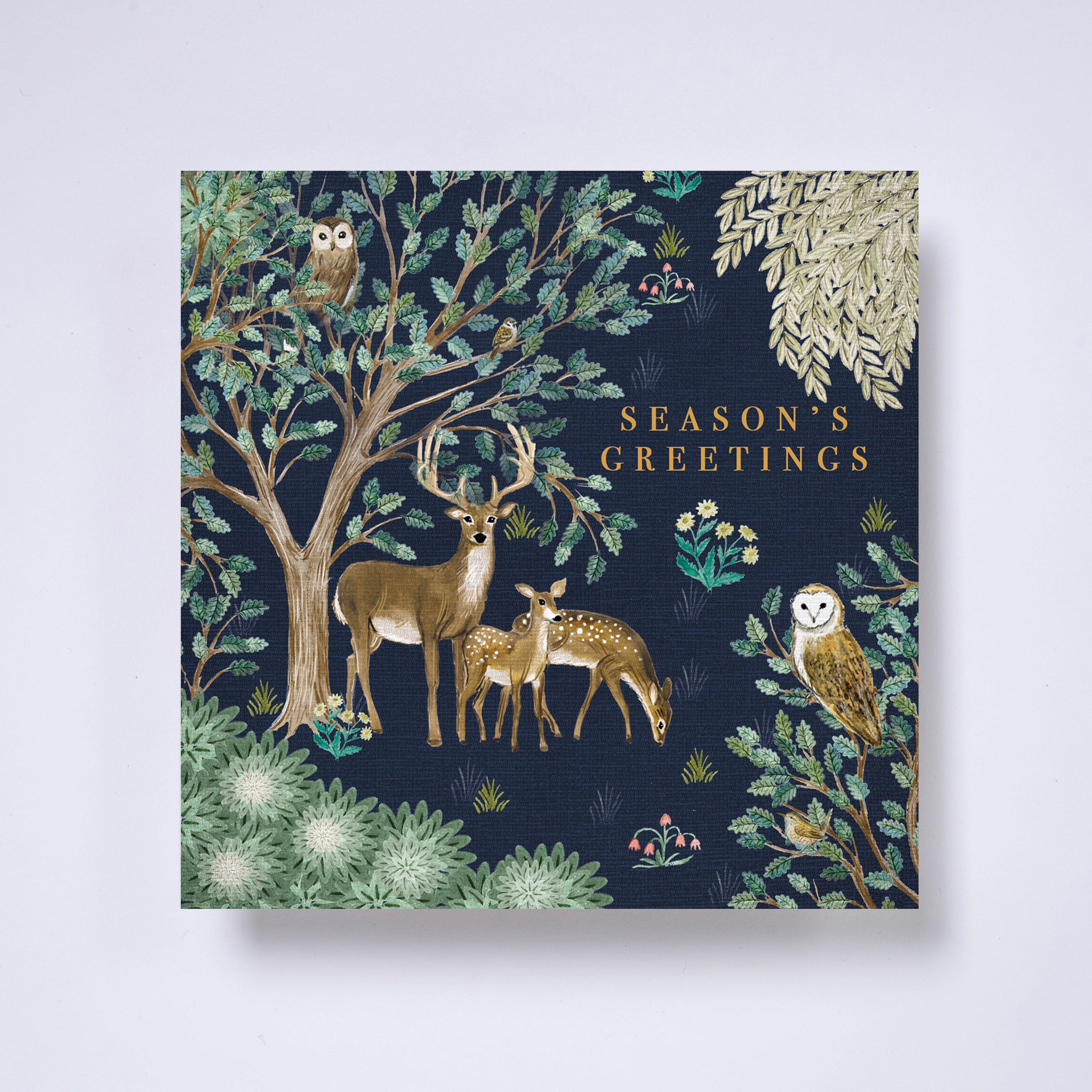 Woodland wonders - pack of 10 charity Christmas cards with envelopes
