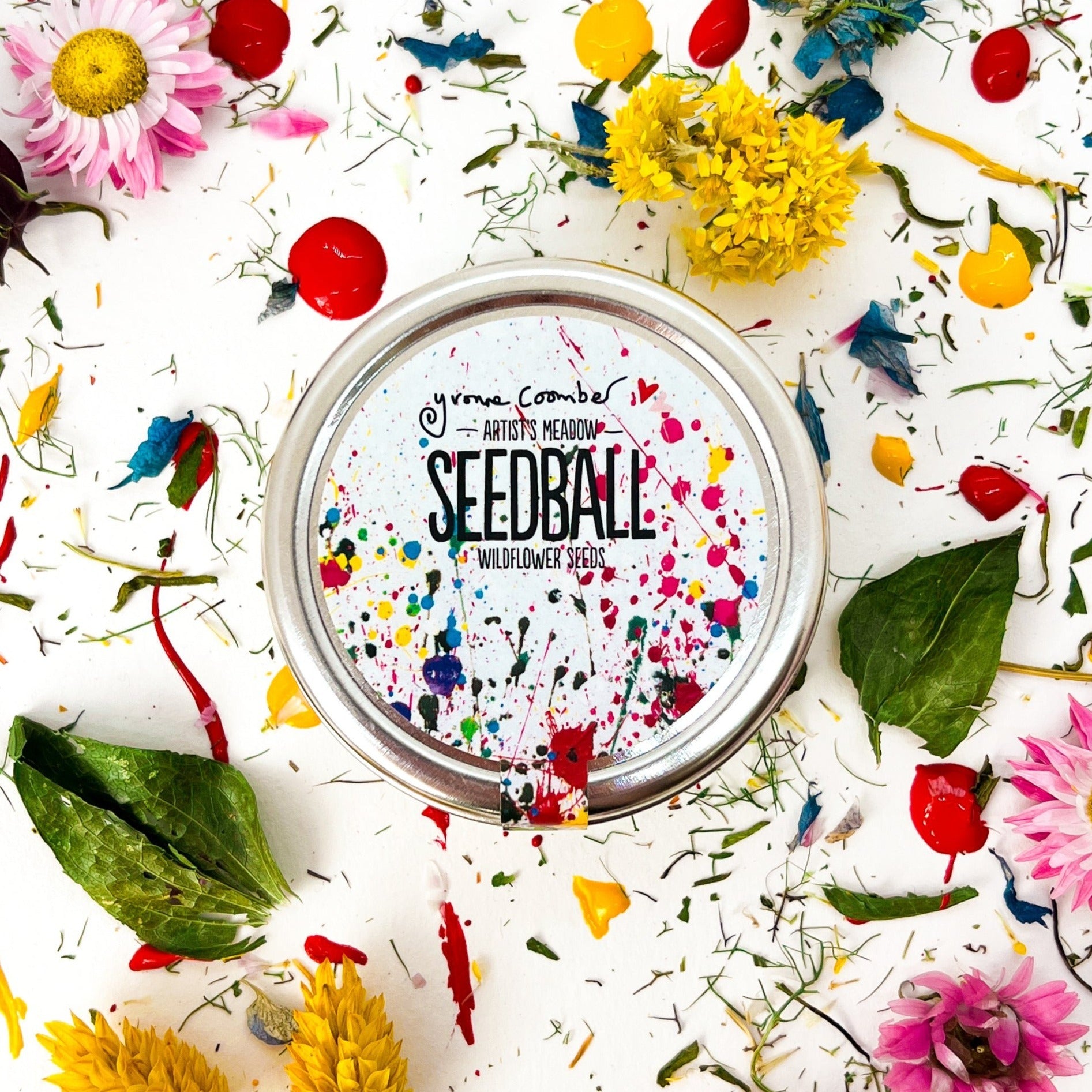 Seedball - Artist's Meadow Mix