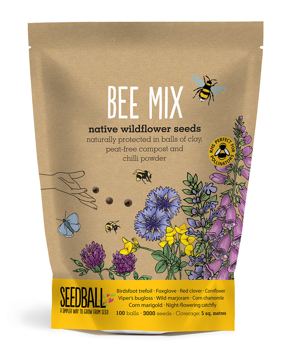Seedball - Grab Bag- Bee Mix