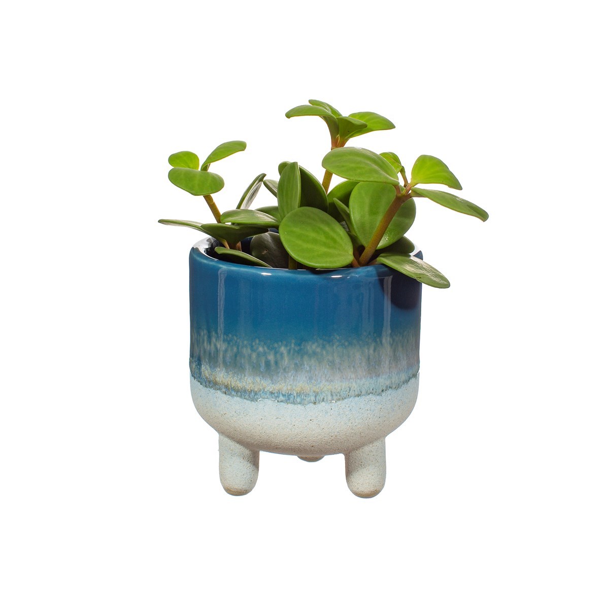 Sass and Belle- Mojave Blue Planter