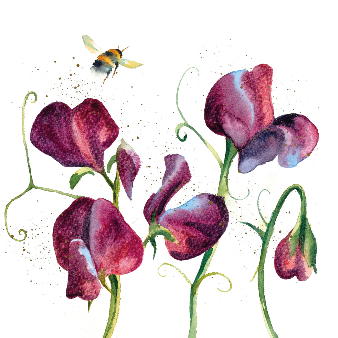 Rachel Toll wildlife card pack
