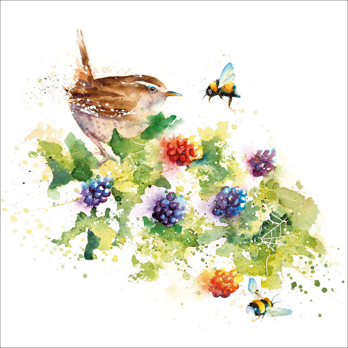 Rachel Toll wildlife card pack
