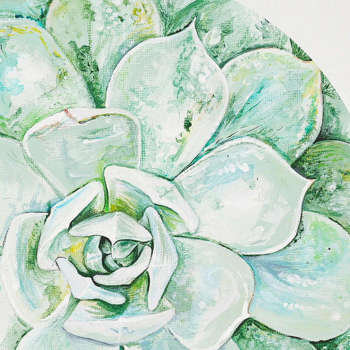 Green Succulent Limited Edition Print