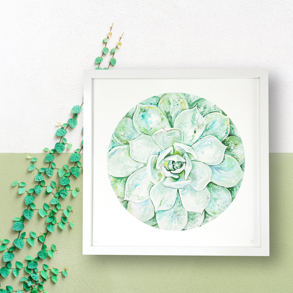 Green Succulent Limited Edition Print