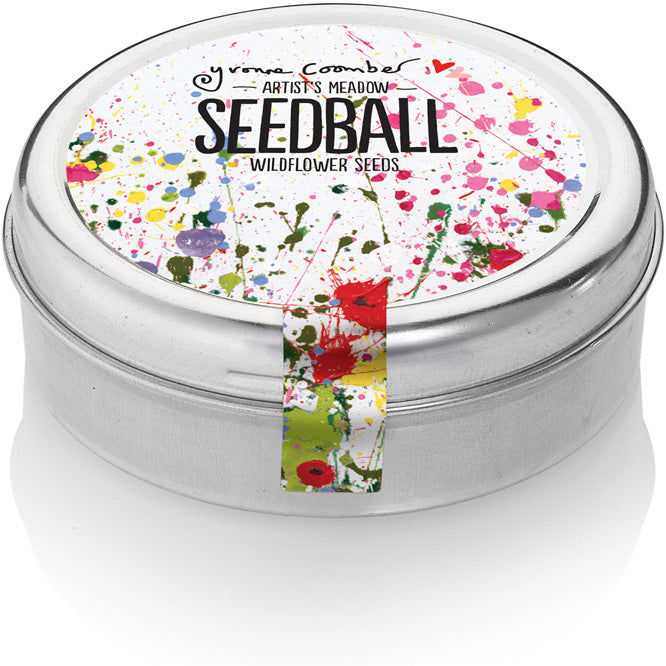 Seedball - Artist's Meadow Mix