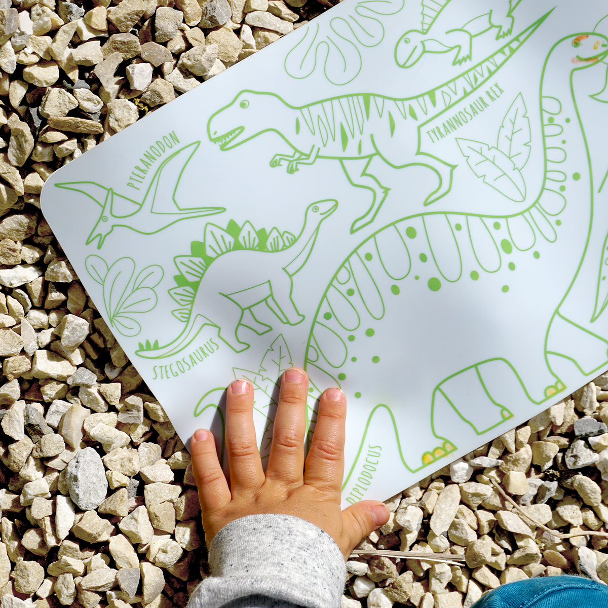 Reusable colouring in mat - Dinosaur